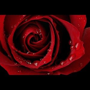 Meet your Posher, Tory-lynne